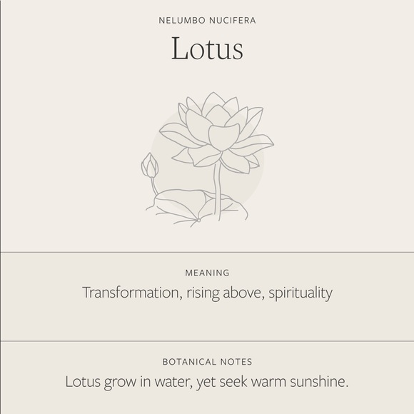 Lotus July Birth Flower Plant Gift Charm Necklace - Picture 6 of 16